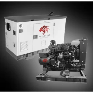 Wildcat RE0010D4 10kW Renegade 3ph Tier 4F Diesel Generator
