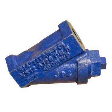 WINCO 98573-125 1-1/4" Vapor Fuel Strainer